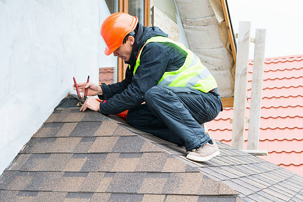 Best Roof Maintenance Services  in Dunlap, IA