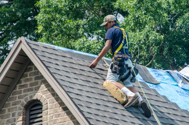 Best Roof Leak Repair  in Dunlap, IA